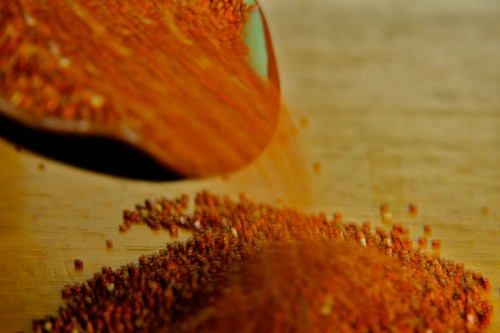 PASTA SUBSTITUTES